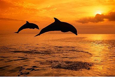 自动化建造角色扮演游戏《小小火箭实验室》Steam页面公布 发售日待定